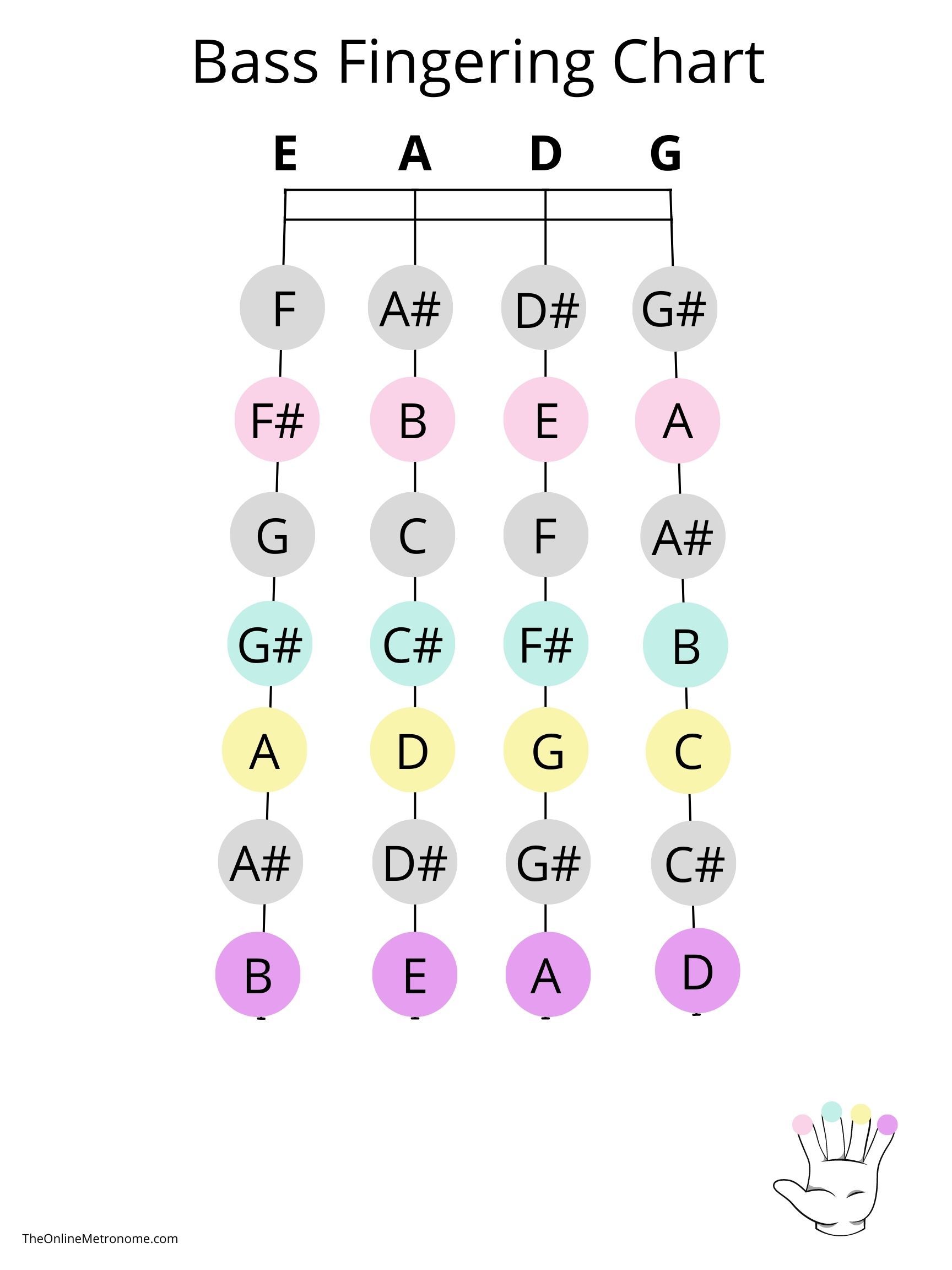 Double Bass Fingering Chart